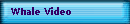 Whale Video