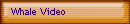 Whale Video