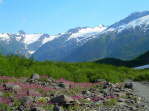 DSCN1681