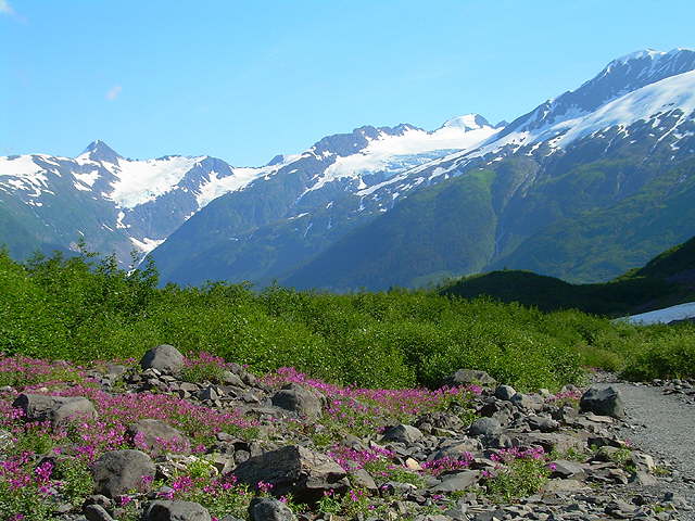DSCN1681