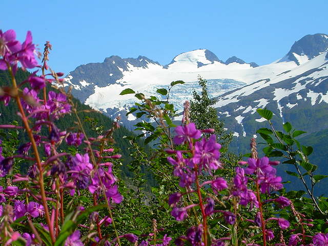 DSCN1694