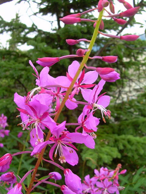 Dscn1152